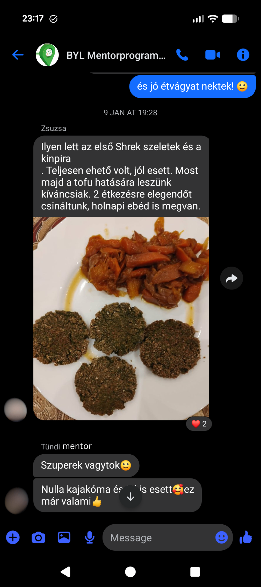 Vélemény – Shrek szeletek